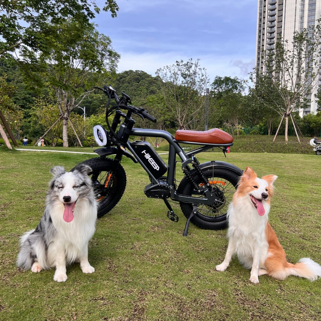 Hikeep ebike:Join Our Group & Get a $89 Shell Bag!